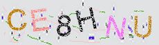 Captcha Sicherheitscode