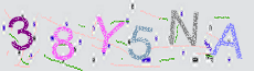Captcha Sicherheitscode