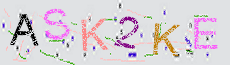 Captcha Sicherheitscode