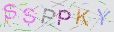 Captcha Sicherheitscode