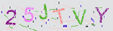 Captcha Sicherheitscode