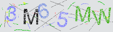 Captcha Sicherheitscode