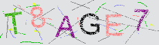 Captcha Sicherheitscode