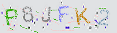 Captcha Sicherheitscode