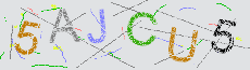 Captcha Sicherheitscode