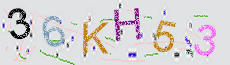 Captcha Sicherheitscode