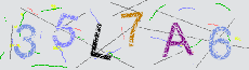 Captcha Sicherheitscode