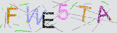 Captcha Sicherheitscode