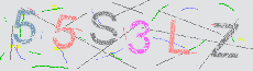Captcha Sicherheitscode