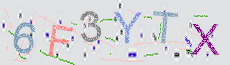 Captcha Sicherheitscode