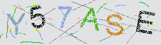 Captcha Sicherheitscode
