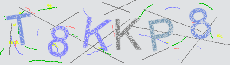 Captcha Sicherheitscode