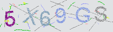 Captcha Sicherheitscode